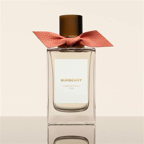 burberry her rose|burberry signatures garden roses.